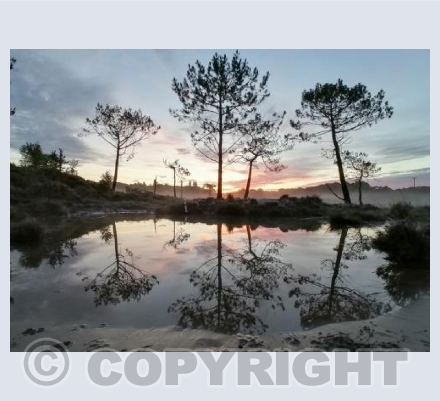 Upton Heath Reflections