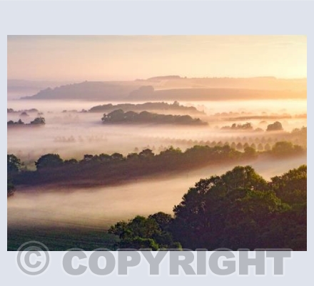 Cranborne Chase Misty Sunrise #10