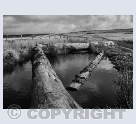 Old Macc Road (BW)