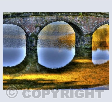 The Bridge
