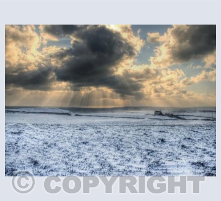 Shelter from the Storm