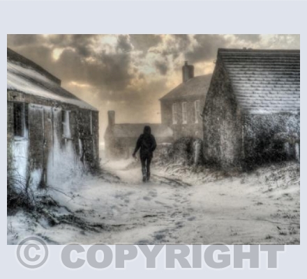 Walk on the Wild Side