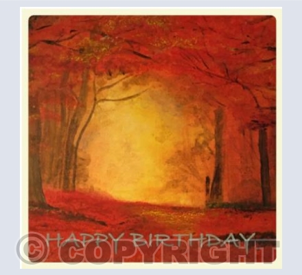 Woods in the Autumn