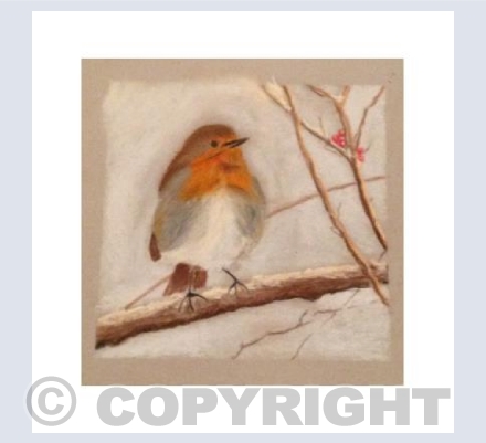 Resting Robin