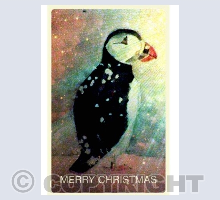 Pastel Puffin 