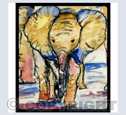 Baby Elephant