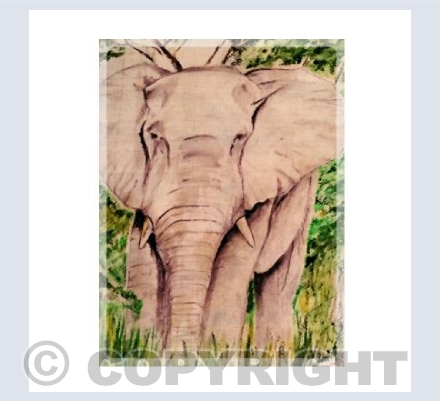 Elephant in the Grass