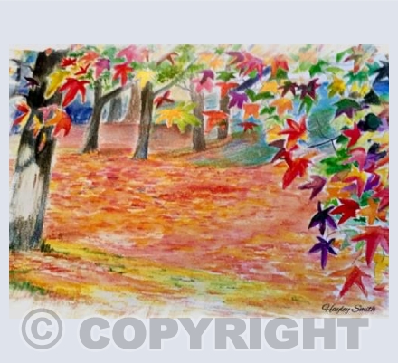 Rainbow Forest