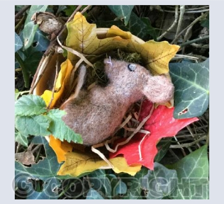 Autumn Slumber