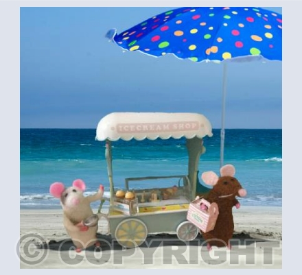 At the Beach 