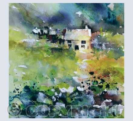 Snowdonia Farm