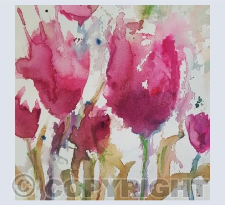 Tulips