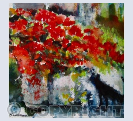 Geraniums