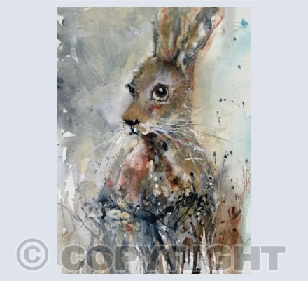 Winter Hare