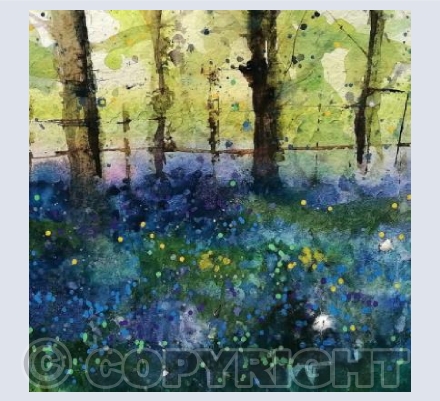 Spring Bluebells