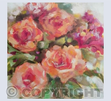 Pale Peach Rose