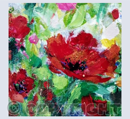 Love a poppy