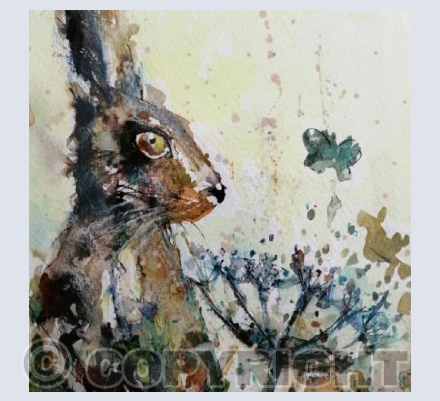 Hare and Butterfly
