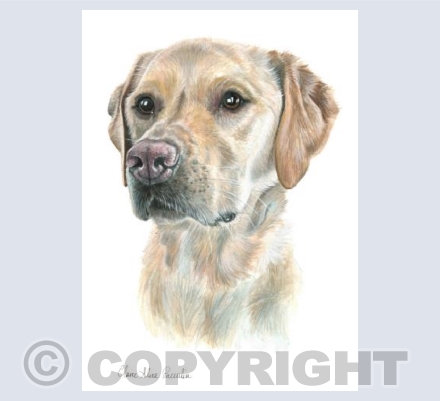 Mable