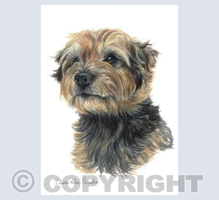 Bertie