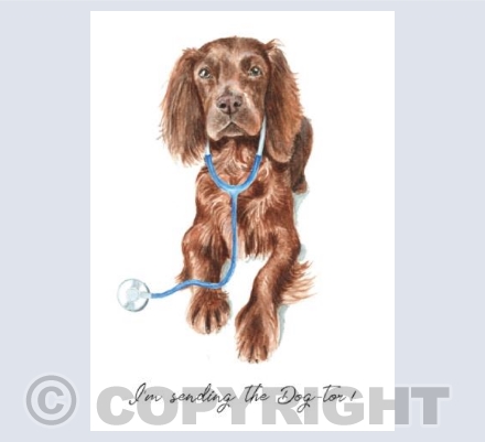 I'm sending the Dog-tor