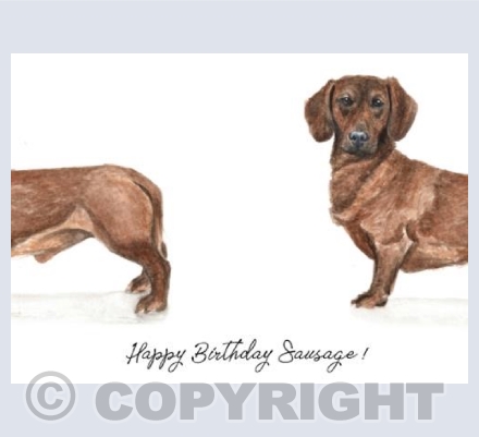 Happy Birthday Sausage!