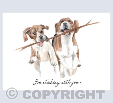 I'm sticking with you!