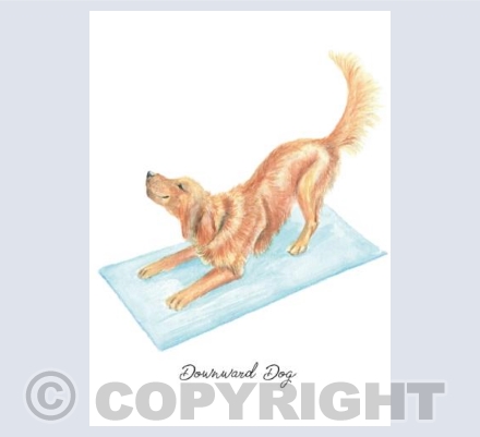 Downward Dog
