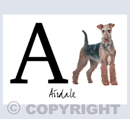 A for Airdale
