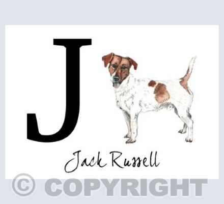 J for Jack Russell
