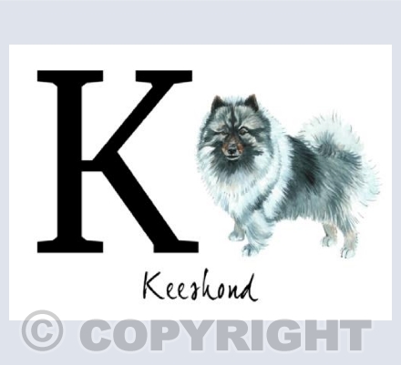 K for Keeshond