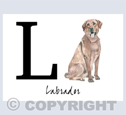 L for Labrador