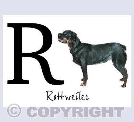 R for Rottweiler