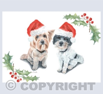 Honey & Freddie Christmas