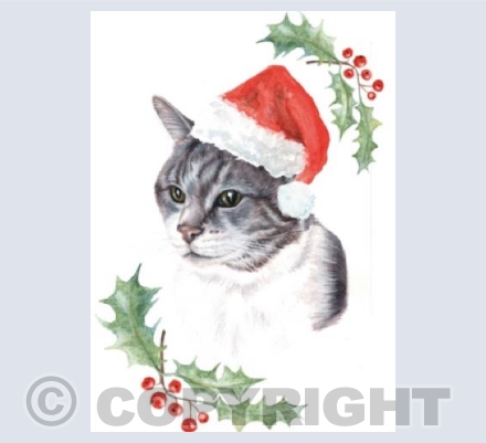 Milly Christmas Cat