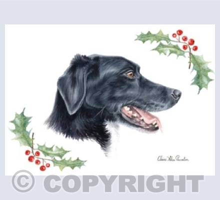 Jet Christmas