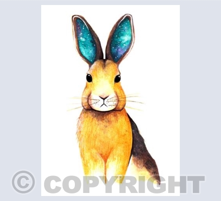 Galaxy Hare