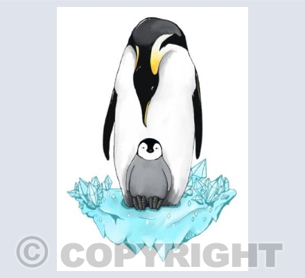 Emperor Penguins