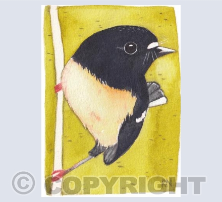 Tomtit