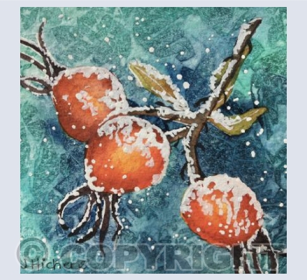 Rosehips in Blue