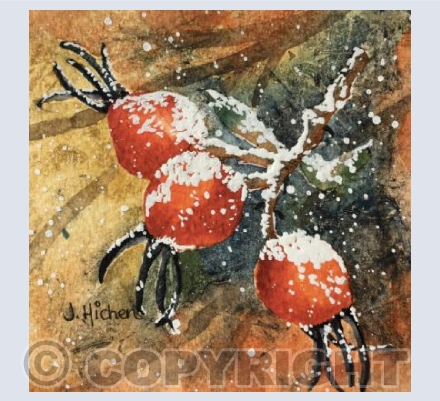 Rosehips in Bronze