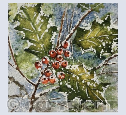 Winter Holly and Berries