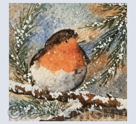 Robin in the Snow