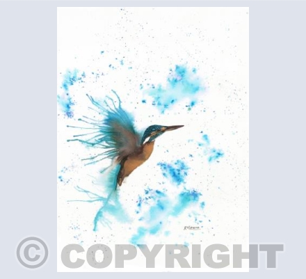 The King of Fishers