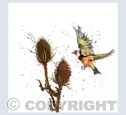 The Goldfinch