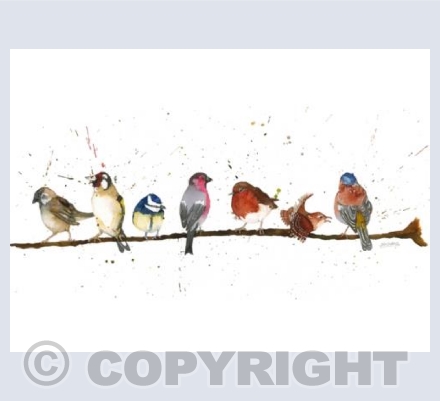 Birds on the Branch