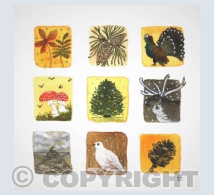 Impressions of Scotland 5