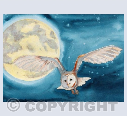 The Midnight Hunt