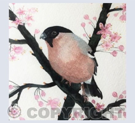 The Bullfinch and Blossom