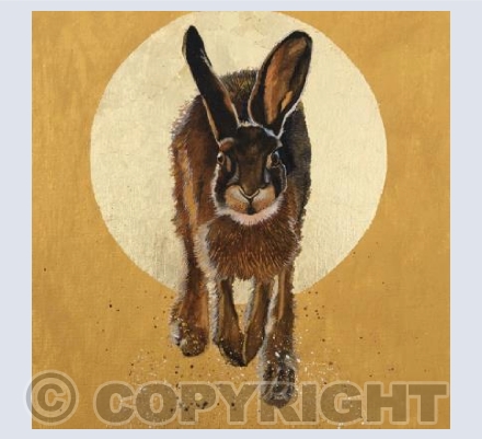 Hare Rising